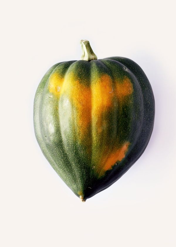 Acorn Squash Cheap