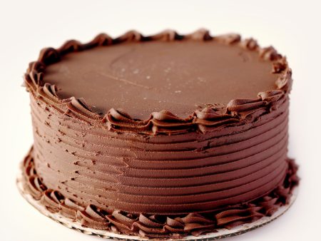 Chocolate Cake with Chocolate Icing Fashion