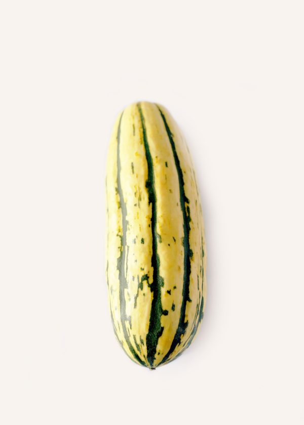 Delicata Squash Online