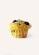 Blueberry Corn Muffin Online now