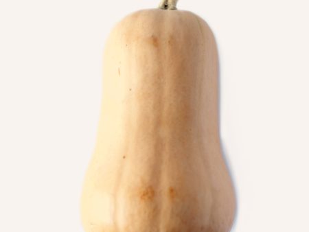 Butternut Squash Discount