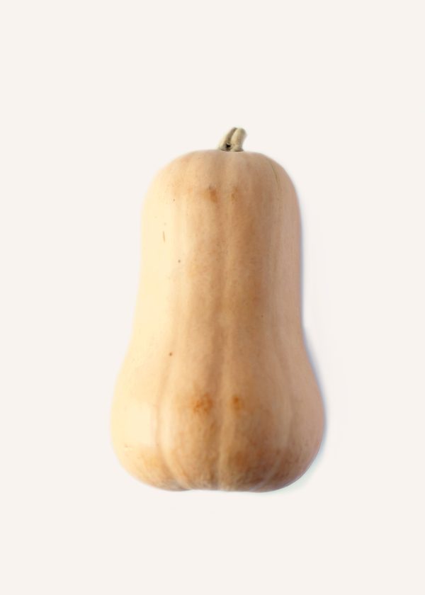 Butternut Squash Discount