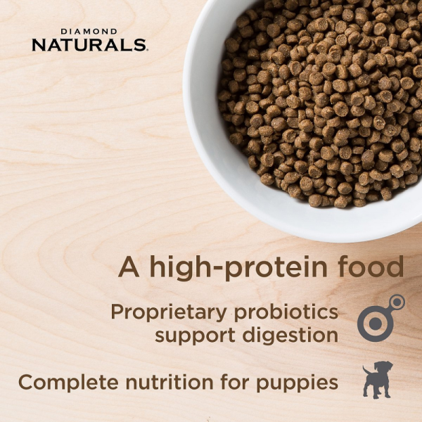 Diamond Naturals Small & Medium Breed Puppy Dry Food Online Hot Sale