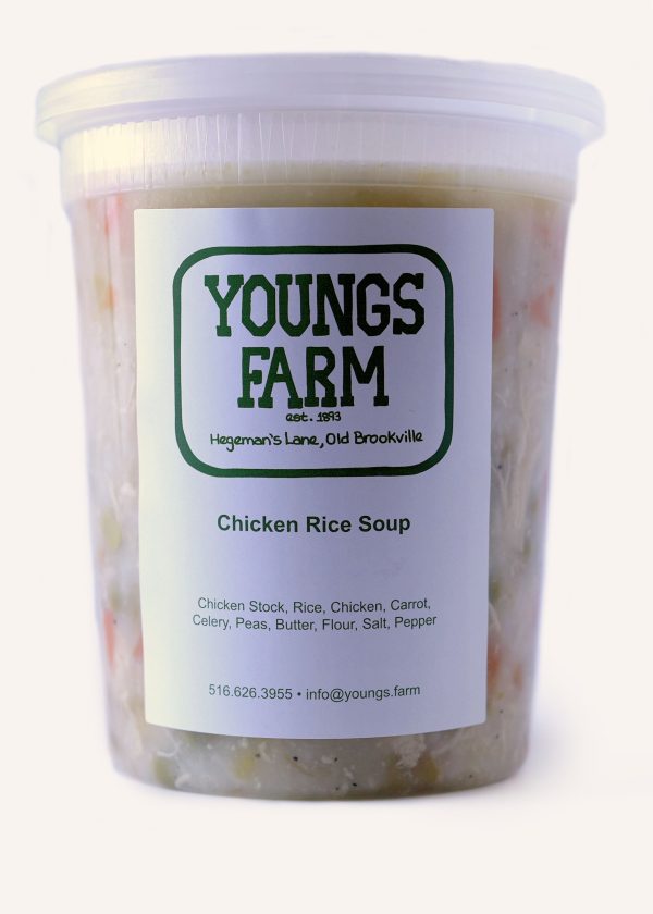 Chicken Rice Soup Online now