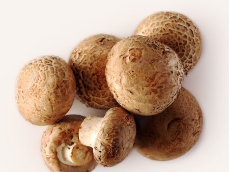 Crimini Mushrooms Hot on Sale