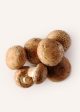 Crimini Mushrooms Hot on Sale