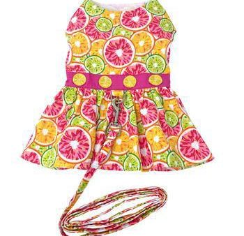 Citrus Slice Dog Dress with Matching Leash on Sale