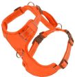 BAYDOG Harness Chesapeake Orange Online Sale