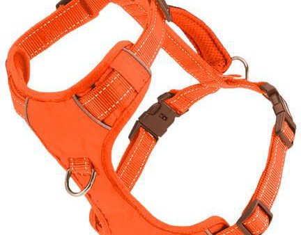 BAYDOG Harness Chesapeake Orange Online Sale