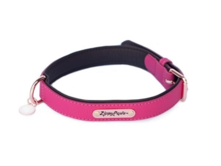 ZippyPaws Vivid Collection Magenta Dog Collar on Sale