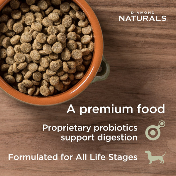 Diamond Naturals Skin & Coat Formula All Life Stages Dry Dog Food Hot on Sale