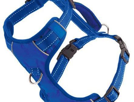 BAYDOG Harness Chesapeake Blue For Sale