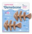 Benebone Puppy Fishbone 2 Pack Online Hot Sale