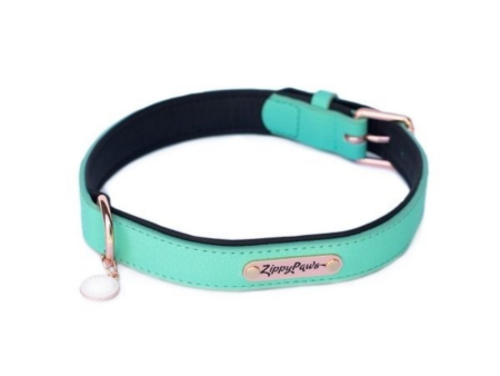 ZippyPaws Vivid Collection Teal Dog Collar For Cheap