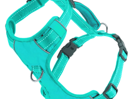 BAYDOG Harness Chesapeake Sea Foam For Discount