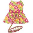 Citrus Slice Dog Dress with Matching Leash on Sale