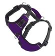 BAYDOG Harness Chesapeake Purple For Discount