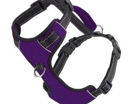 BAYDOG Harness Chesapeake Purple For Discount