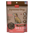 Cloud Star Dynamo Dog Functional Soft Chews Skin and Coat Salmon Dog Treats Online Hot Sale