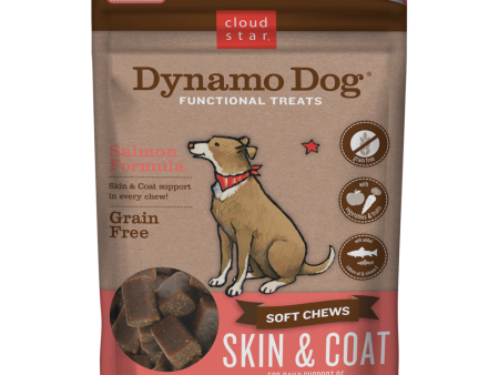 Cloud Star Dynamo Dog Functional Soft Chews Skin and Coat Salmon Dog Treats Online Hot Sale