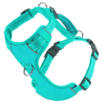 BAYDOG Harness Chesapeake Sea Foam For Discount