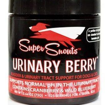 Diggin  Your Dog Super Snouts Urinary Berry Bladder 75 gm Online now