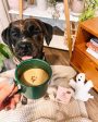 Barkista Pumpkin Spice Latte Instant Dog Coffee on Sale