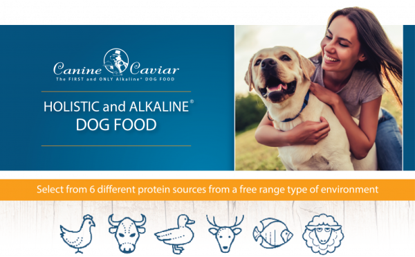 Canine Caviar Grain Free Puppy Holistic Entree Dry Dog Food For Cheap