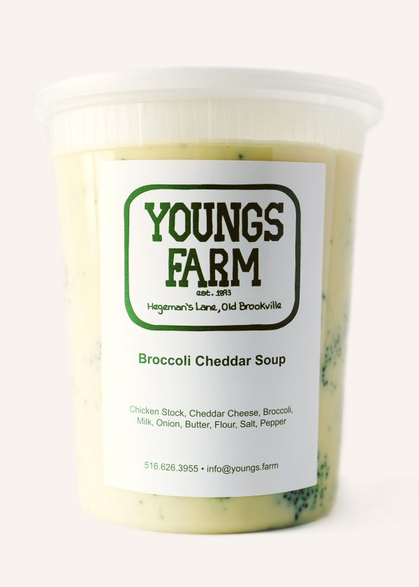 Broccoli Cheddar Soup For Sale