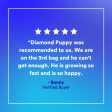 Diamond Puppy Dry Food Cheap