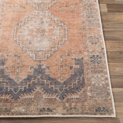 Antiquity Rugs Hot on Sale