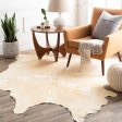 Antico Rugs For Discount