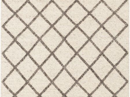 Hand Woven Napels Area Rug Online Hot Sale