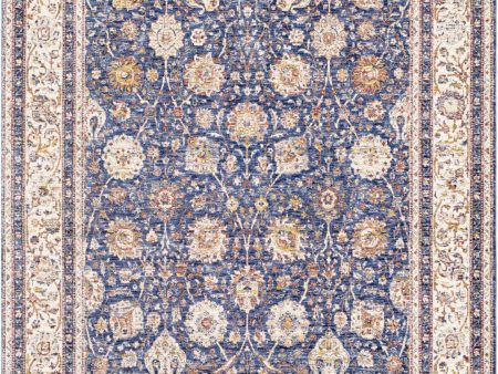 Mahal Area Rug For Discount