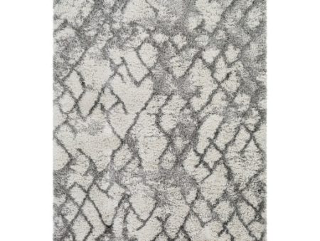 Alta shag Rugs For Discount