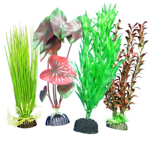 Weco Products Freshwater Aquarium Plant 101 Assorted, 1 Each Multipack by Weco on Sale