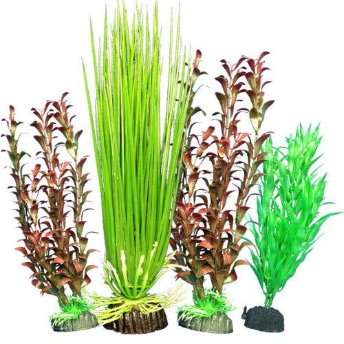 Weco Products Freshwater Aquarium Plant 106 Assorted, 1 Each Multipack by Weco For Discount