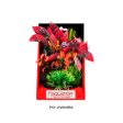 Aquatop Vibrant Wild Plant Mixed Red, 1 Each 6 in by Aquatop Hot on Sale