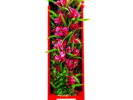 Aquatop Vibrant Passion Plant Rose, 1 Each 16 in by Aquatop Online Hot Sale