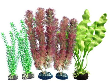 Weco Products Freshwater Aquarium Plant 108 Assorted, 1 Each Multipack by Weco Fashion