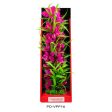 Aquatop Vibrant Passion Plant Pink, 1 Each 16 in by Aquatop Discount