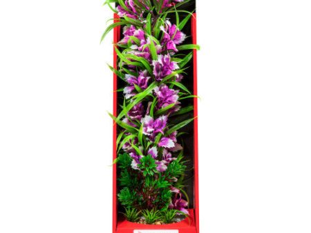 Aquatop Vibrant Garden Plant Violet, 1 Each 16 in by Aquatop Discount