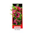 Aquatop Vibrant Passion Plant Rose, 1 Each 10 in by Aquatop Online Hot Sale