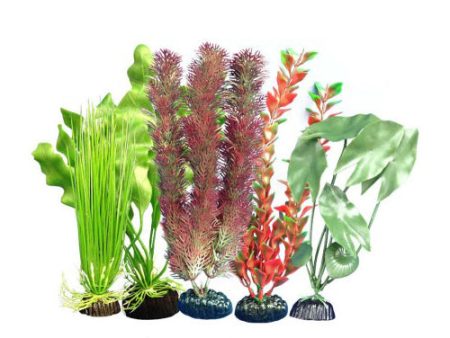 Weco Products Freshwater Aquarium Plant 105 Assorted, 1 Each Multipack by Weco Online Sale