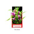 Aquatop Vibrant Garden Plant Violet, 1 Each 6 in by Aquatop Hot on Sale